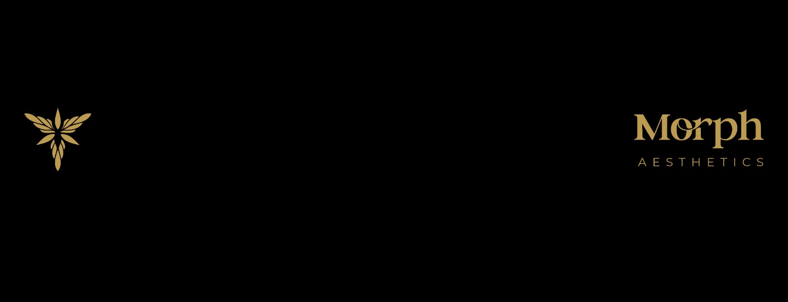 morph aesthetic banner