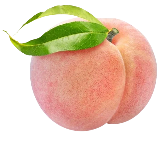 Fresh peach fruit symbolizing smooth, firm skin texture.